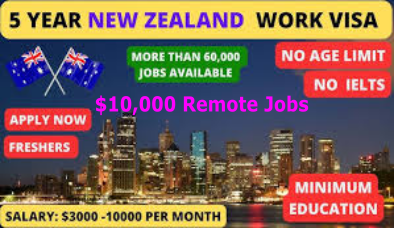 New Zealand high salary jobs
