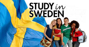 Swedish Institute Scholarships